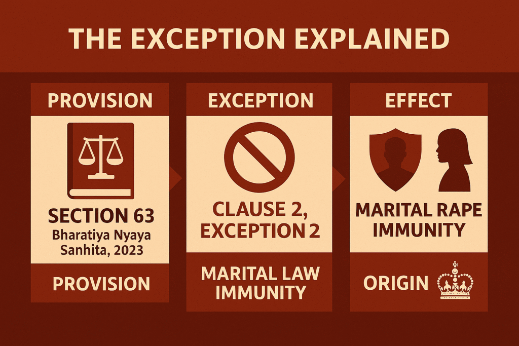 legal exception to rape law in marriage – India’s Section 63 infographic